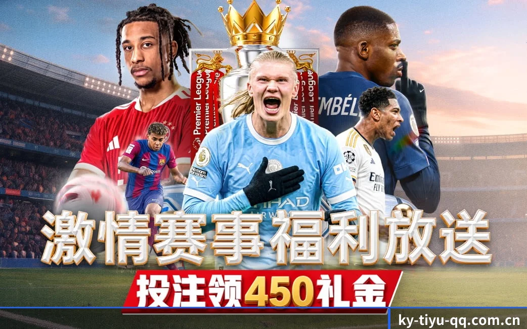 把基础数据打磨到极致 - 长期内容价值积累